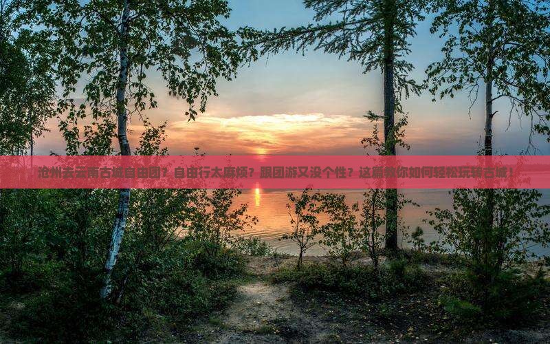 沧州去云南古城自由团