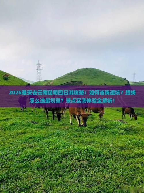 雅安去云南昆明四日游