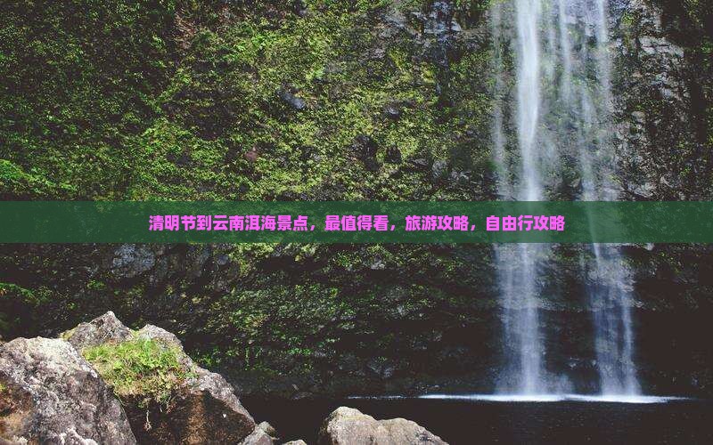 清明节到云南洱海景点