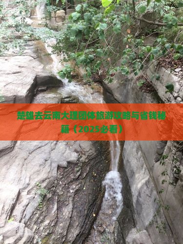 楚雄去云南大理团体旅游