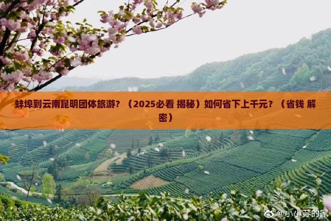 蚌埠到云南昆明团体旅游