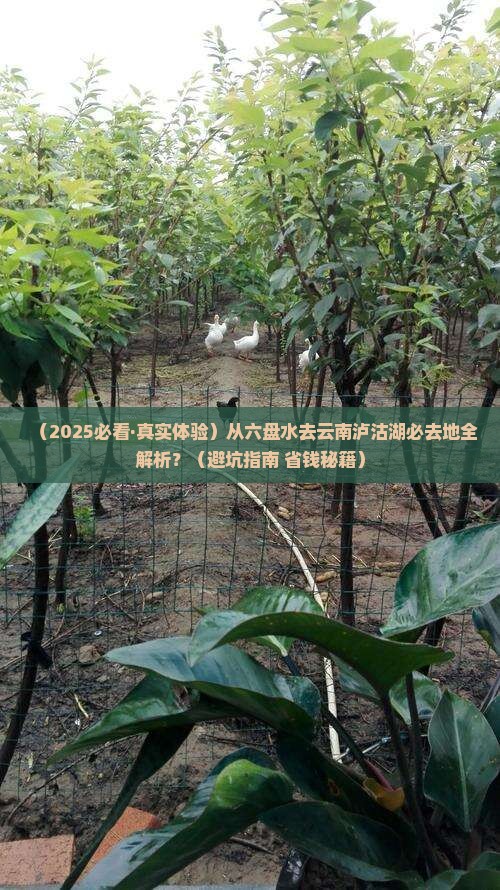 六盘水去云南泸沽湖必去地