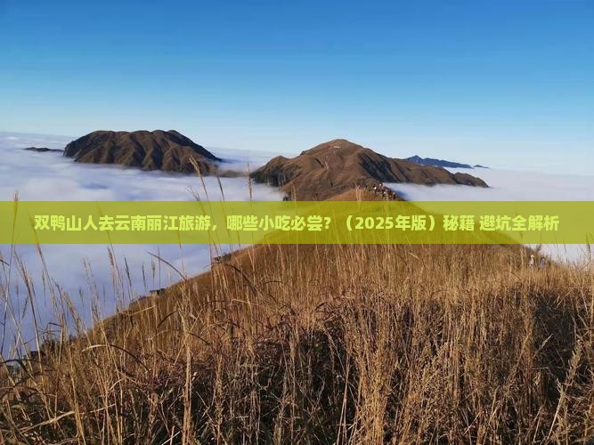 双鸭山去云南丽江旅游小吃