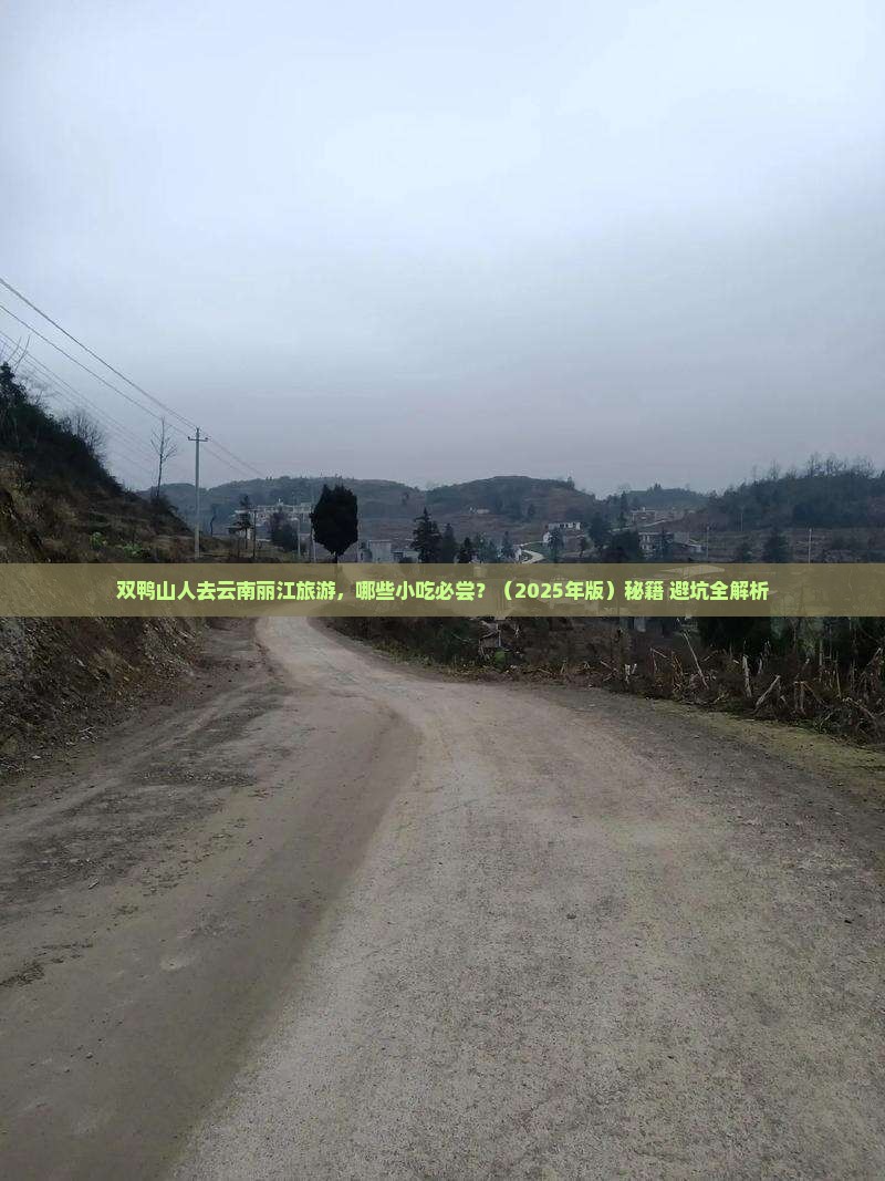 双鸭山去云南丽江旅游小吃