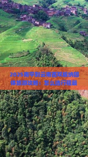 南平到云南西双版纳团体旅游