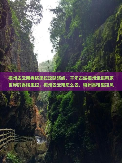梅州去云南香格里拉攻略