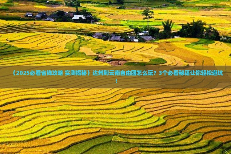 达州到云南自由团