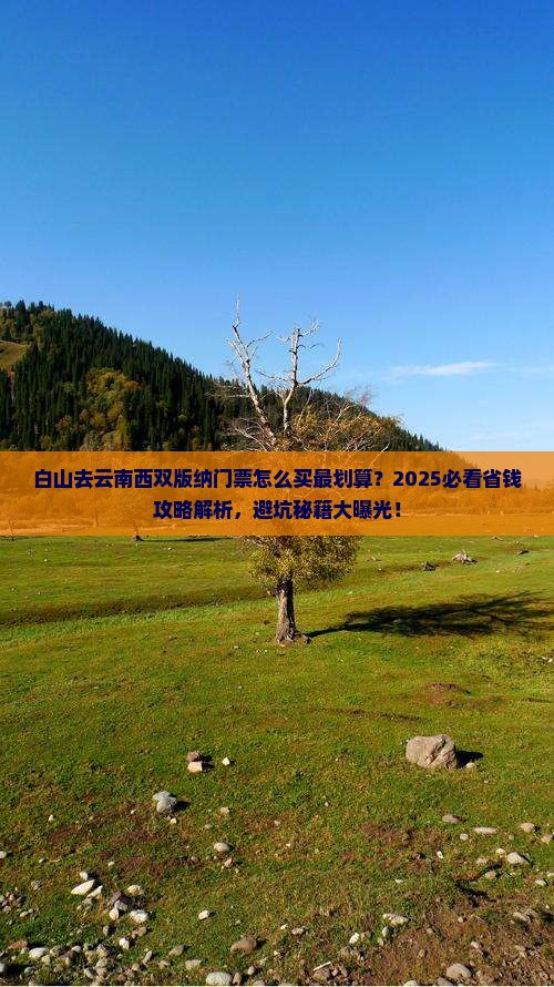 白山去云南西双版纳门票