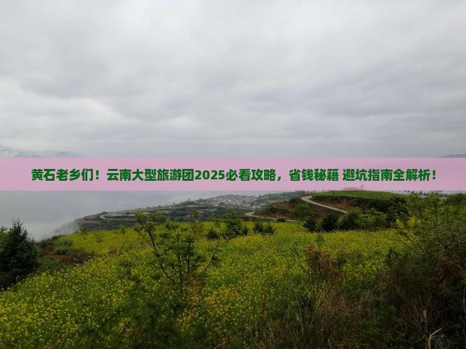 黄石去云南大型旅游团