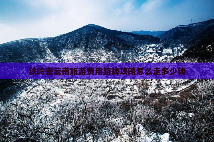 铁岭去云南旅游