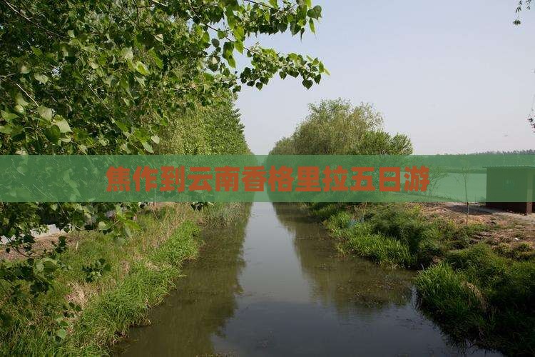 焦作到云南香格里拉五日游