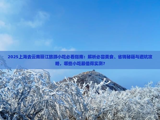上海去云南丽江旅游小吃