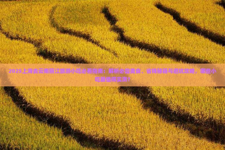 上海去云南丽江旅游小吃