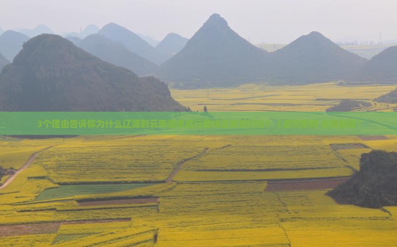 辽源到云南温泉旅行社