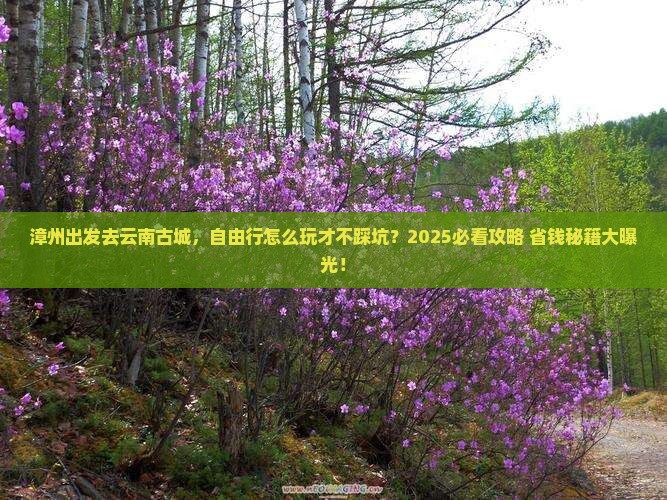 漳州到云南古城自由行