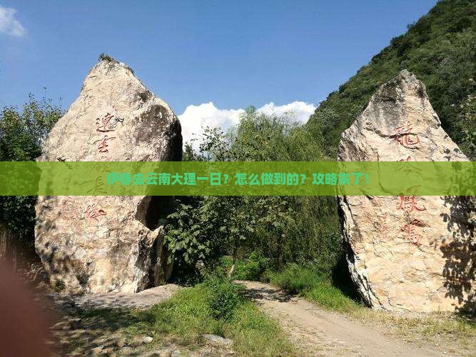 伊春去云南大理一日