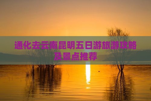 通化去云南昆明五日游