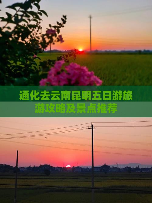 通化去云南昆明五日游