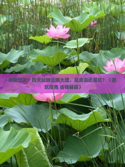 衡阳到云南大理四日游