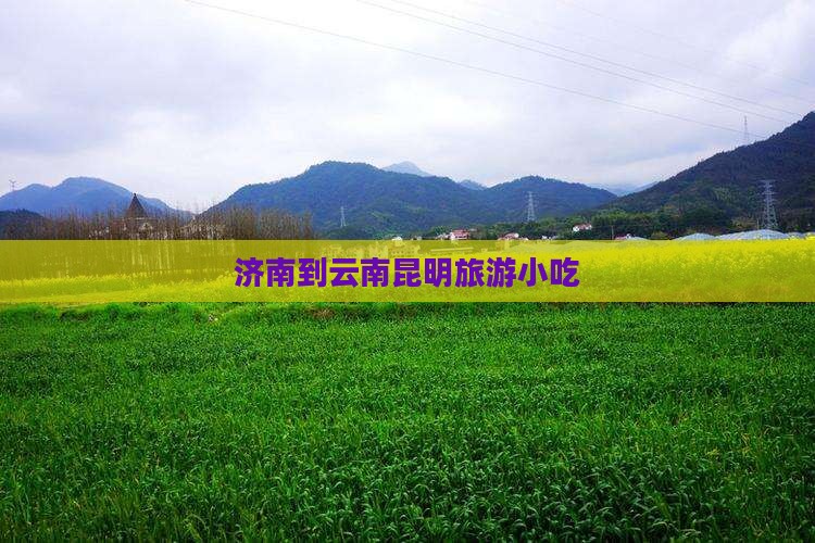济南到云南昆明旅游小吃
