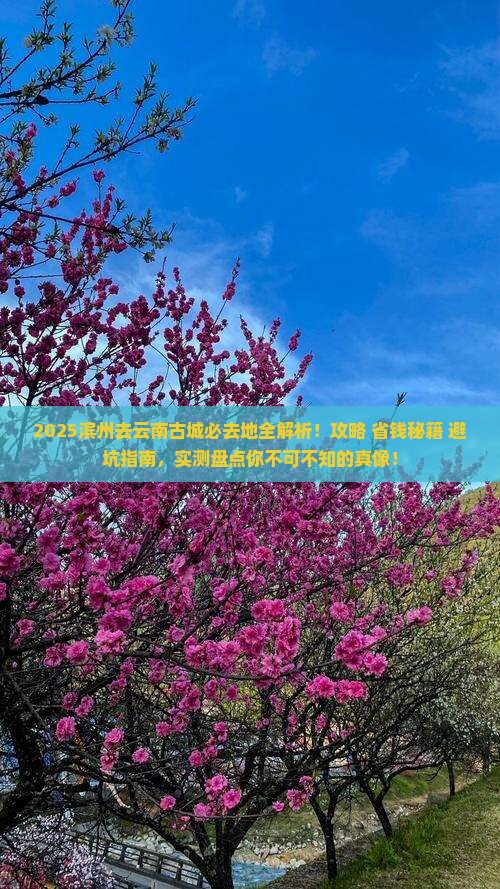 滨州去云南古城必去地