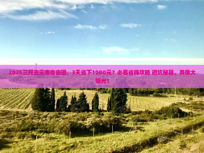 三月去云南自由团 三月去云南自由团