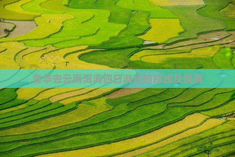 金华去云南洱海四日游