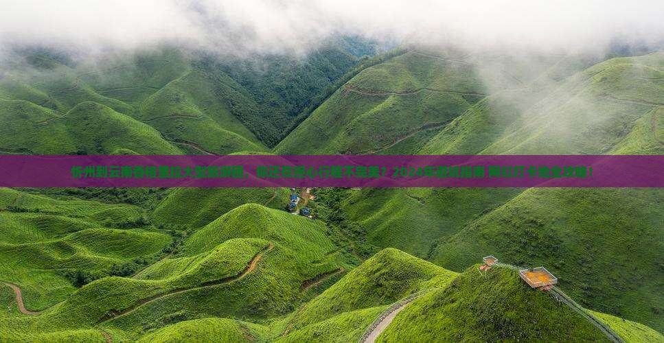 忻州到云南香格里拉大型旅游团
