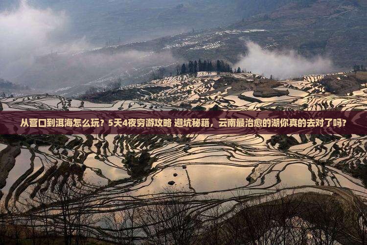 营口去云南洱海旅游