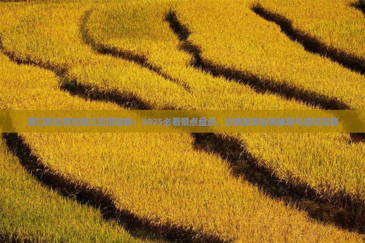 营口到云南古城三日游