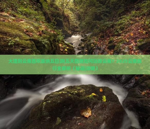 大理到云南西双版纳五日游