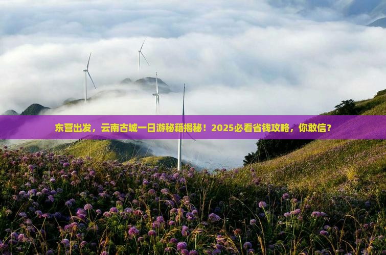 东营到云南古城一日