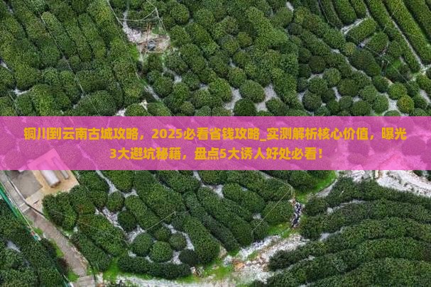 铜川到云南古城攻略