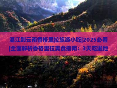 湛江到云南香格里拉旅游小吃