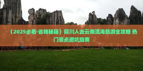 铜川去云南洱海门票