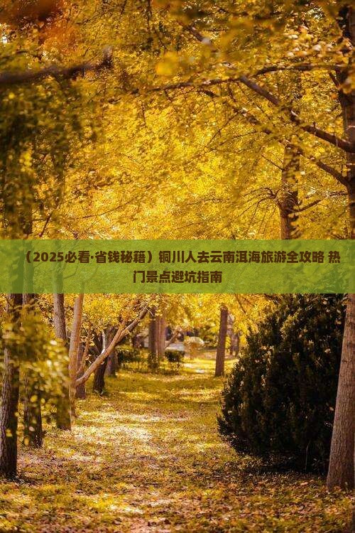 铜川去云南洱海门票