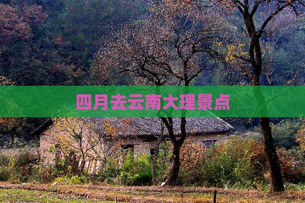 四月去云南大理景点