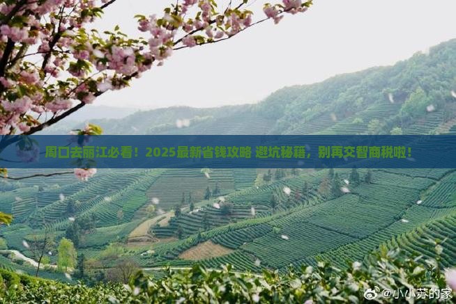 周口到云南丽江旅行社