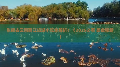 张掖去云南丽江旅游小吃