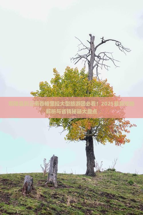 鄢陵县到云南香格里拉大型旅游团