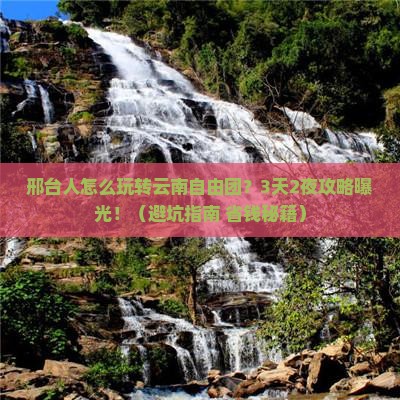 邢台到云南自由团