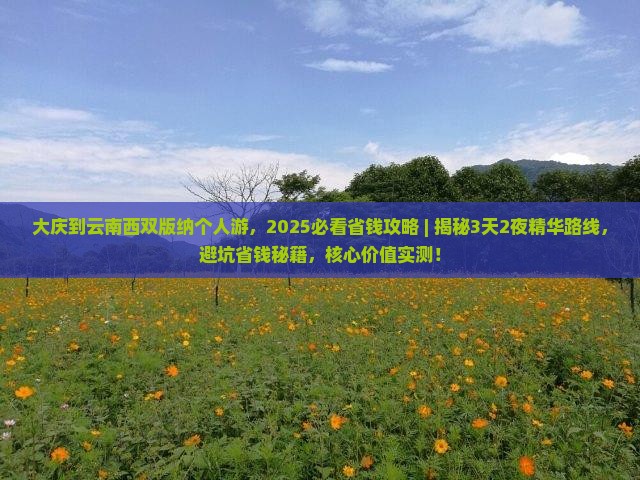 大庆到云南西双版纳个人游