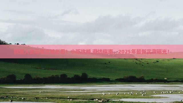鹤壁去云南古城旅游小吃