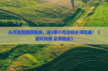 河池去云南西双版纳旅游小吃