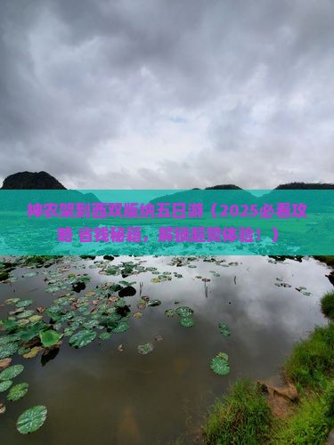 神农架到云南西双版纳五日游