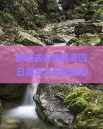 邵阳去云南昆明四日游