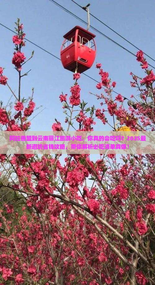 阿拉善盟到云南丽江旅游小吃
