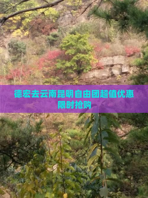 德宏去云南昆明自由团