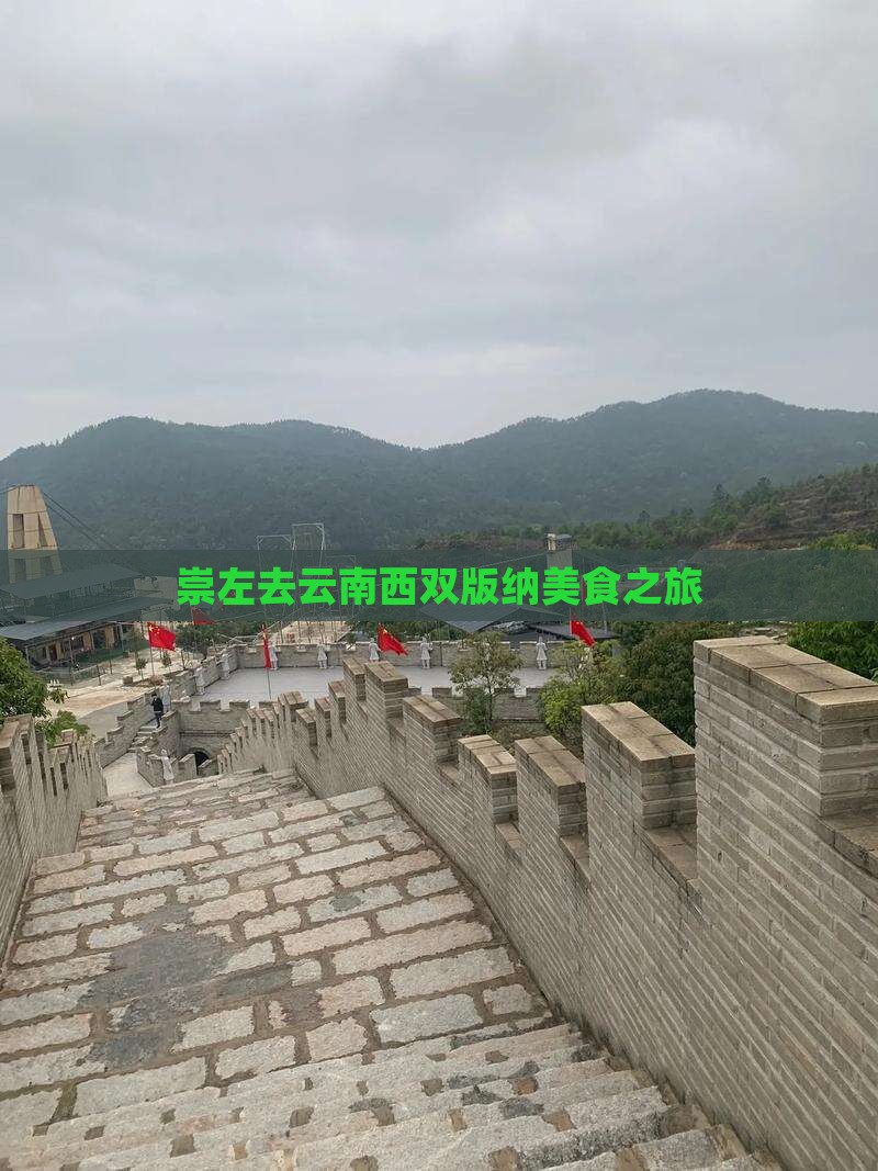 崇左去云南西双版纳旅游小吃