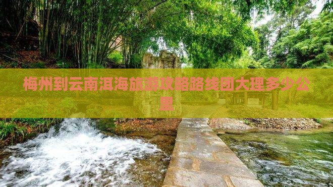 梅州到云南洱海旅游